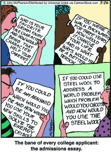 2013 college application essays help