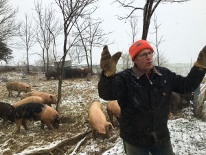 Owner of Paw Farms Joel Salatin gives a tour of his farm.
