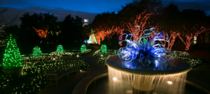 Botanical Gardens decorated as a winter wonderland for Garden Lights. Photo: Atlanta Botanical Garden