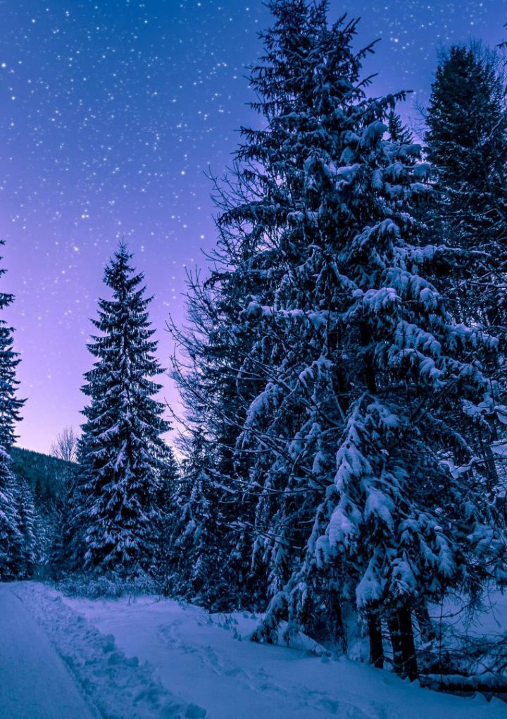 Quiz: What is Your Winter Aesthetic?
