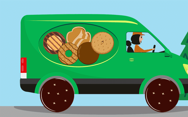 Girl Scouts: Do They Deliver?